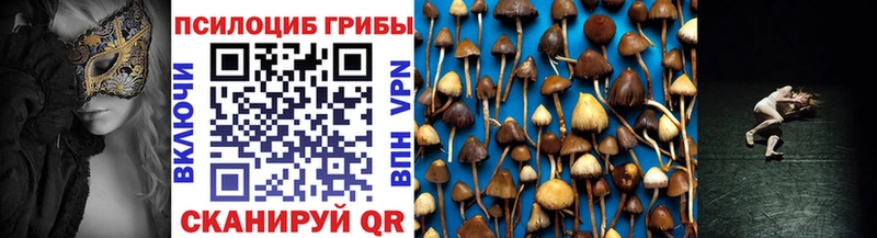 Галлюциногенные грибы GOLDEN TEACHER  как найти закладки  Зеленоградск 